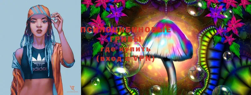 купить закладку  MEGA вход  Галлюциногенные грибы MAGIC MUSHROOMS  Оханск 